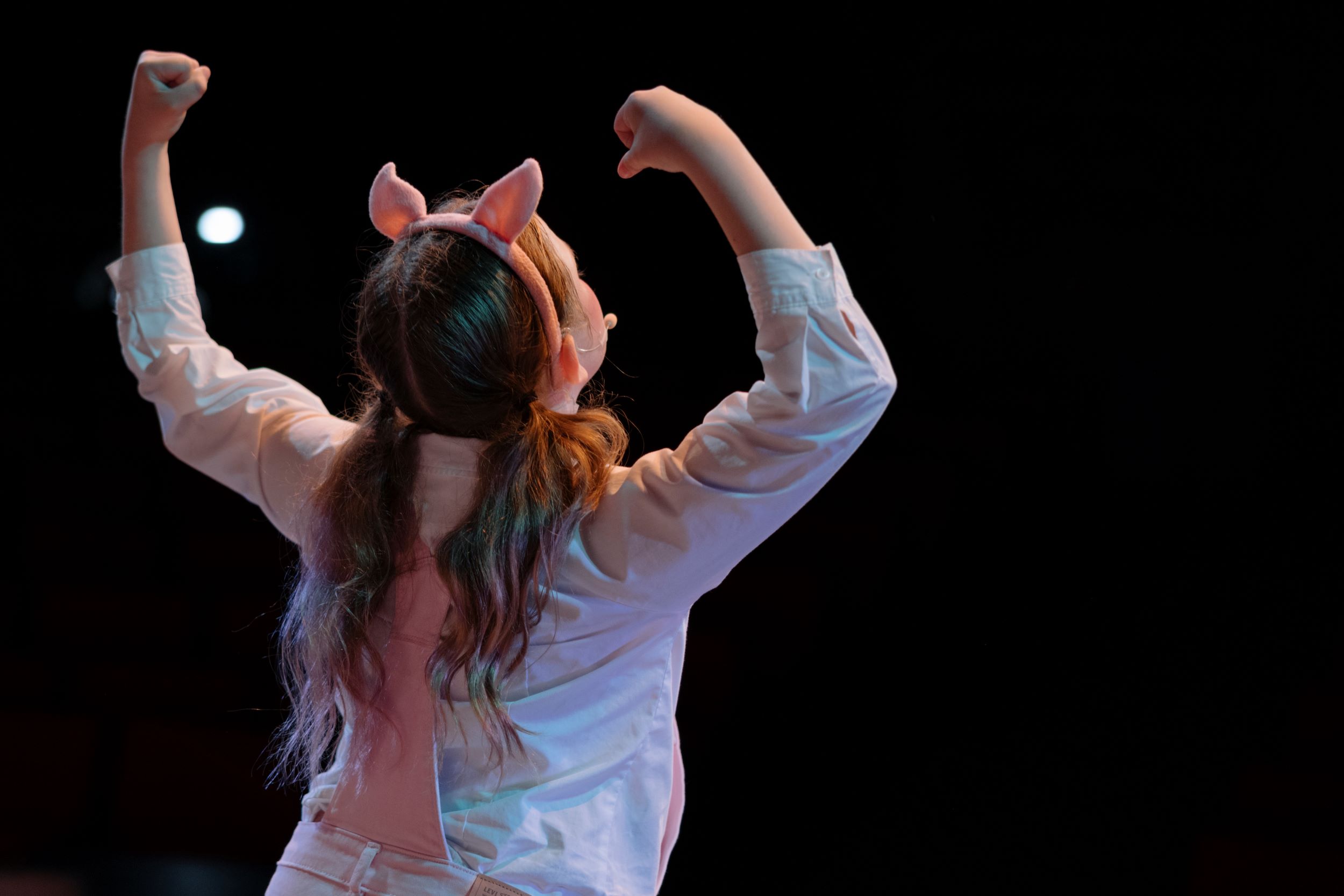 strong, courage, muscles, pig, animal, flexing, back shot, on stage