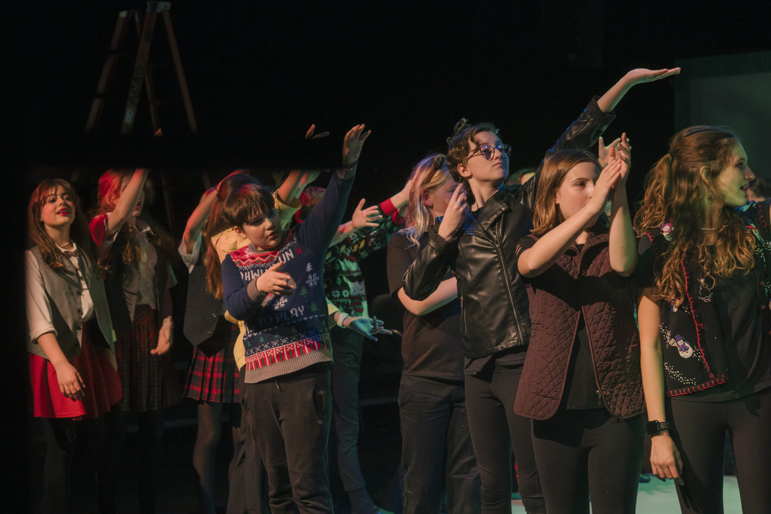 ashlawn elementary, 33 little pigs, in-school residency, residency, on stage, costumes, dancing